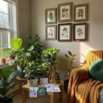 Ultimate Collection: 108 Houseplant Care Cards test