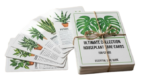 Ultimate Collection: 108 Houseplant Care Cards
