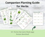Companion Planting Guide | Garden Organizer | Plant Guide