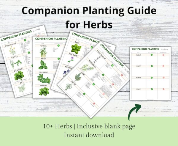 Companion Planting Guide | Garden Organizer | Plant Guide