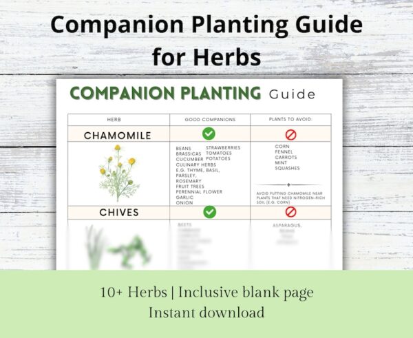 Companion Planting Guide | Garden Organizer | Plant Guide