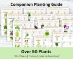 Companion Planting Guide, Garden Organizer, Plant Guide