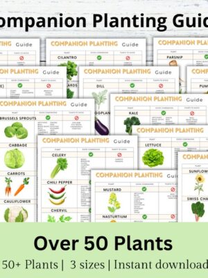 Companion Planting Guide, Garden Organizer, Plant Guide