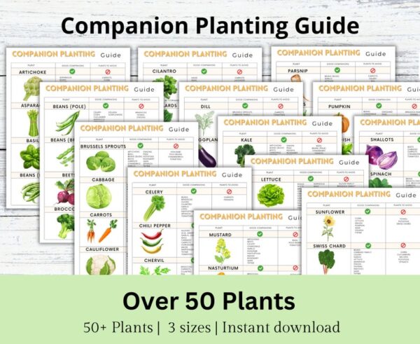 Companion Planting Guide, Garden Organizer, Plant Guide