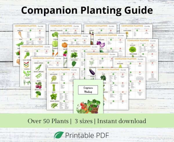 Companion Planting Guide, Garden Organizer, Plant Guide