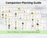 Companion Planting Guide, Garden Organizer, Plant Guide