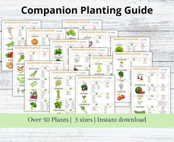 Companion Planting Guide, Garden Organizer, Plant Guide