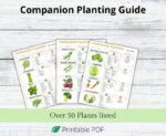 Companion Planting Guide, Garden Organizer, Plant Guide