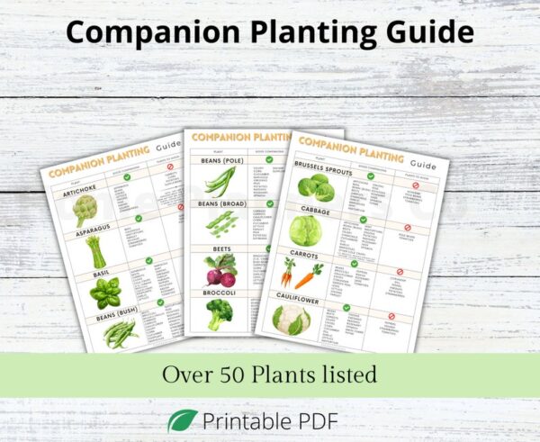 Companion Planting Guide, Garden Organizer, Plant Guide
