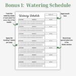 Plant Profile, Watering Schedule, Plant Care Journal, Houseplant Care Instructions Bundle, Gardening Printable, Plant Tracker, Plant Log