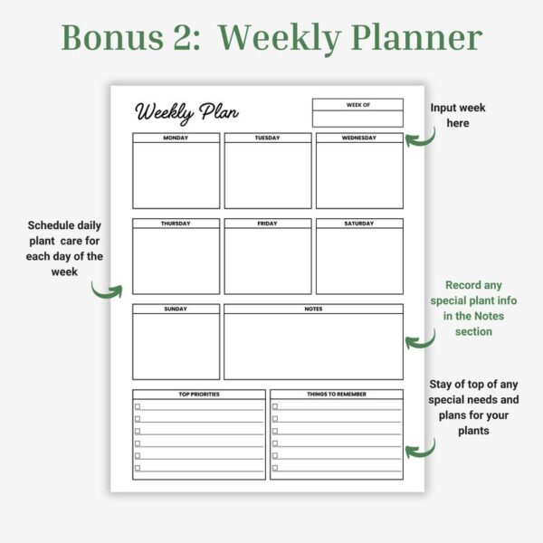 Plant Profile, Watering Schedule, Plant Care Journal, Houseplant Care Instructions Bundle, Gardening Printable, Plant Tracker, Plant Log