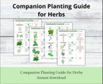 Companion Planting Guide | Garden Organizer | Plant Guide