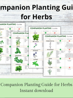 Companion Planting Guide | Garden Organizer | Plant Guide