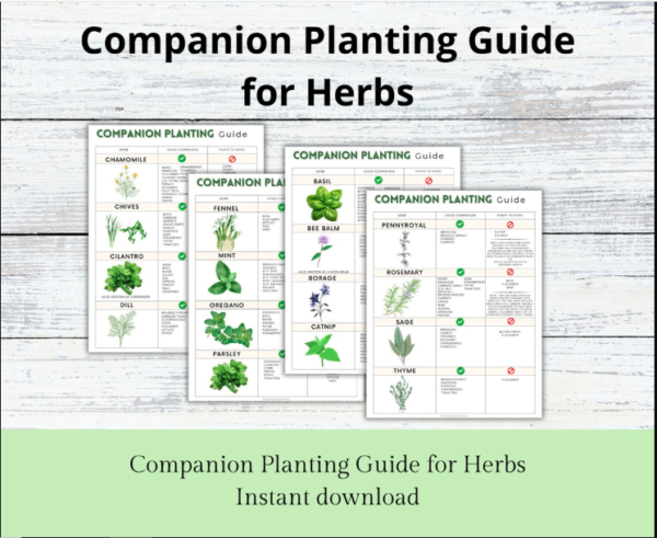 Companion Planting Guide | Garden Organizer | Plant Guide
